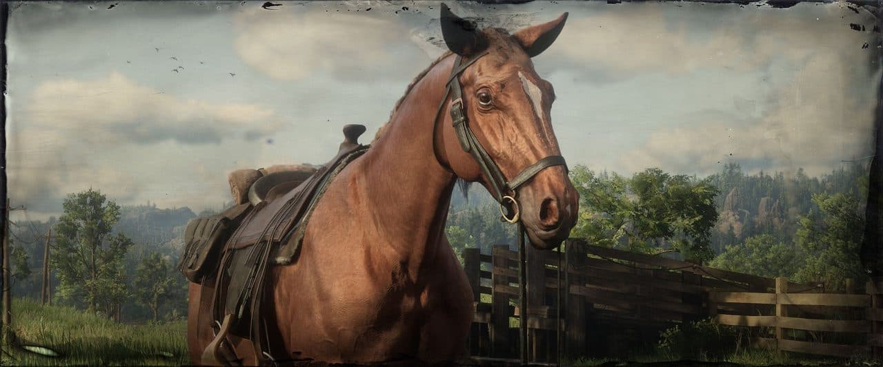 Red Dead Online at ile yolculuk
