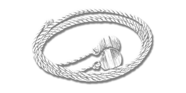 Bolas ikonu