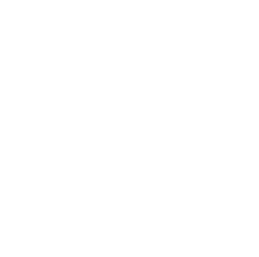 Role Token ikonu