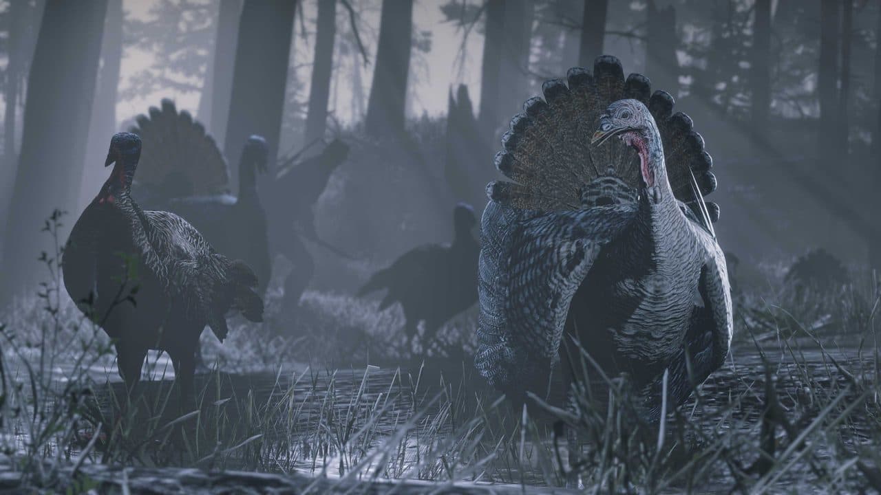 Red Dead Online haber görseli