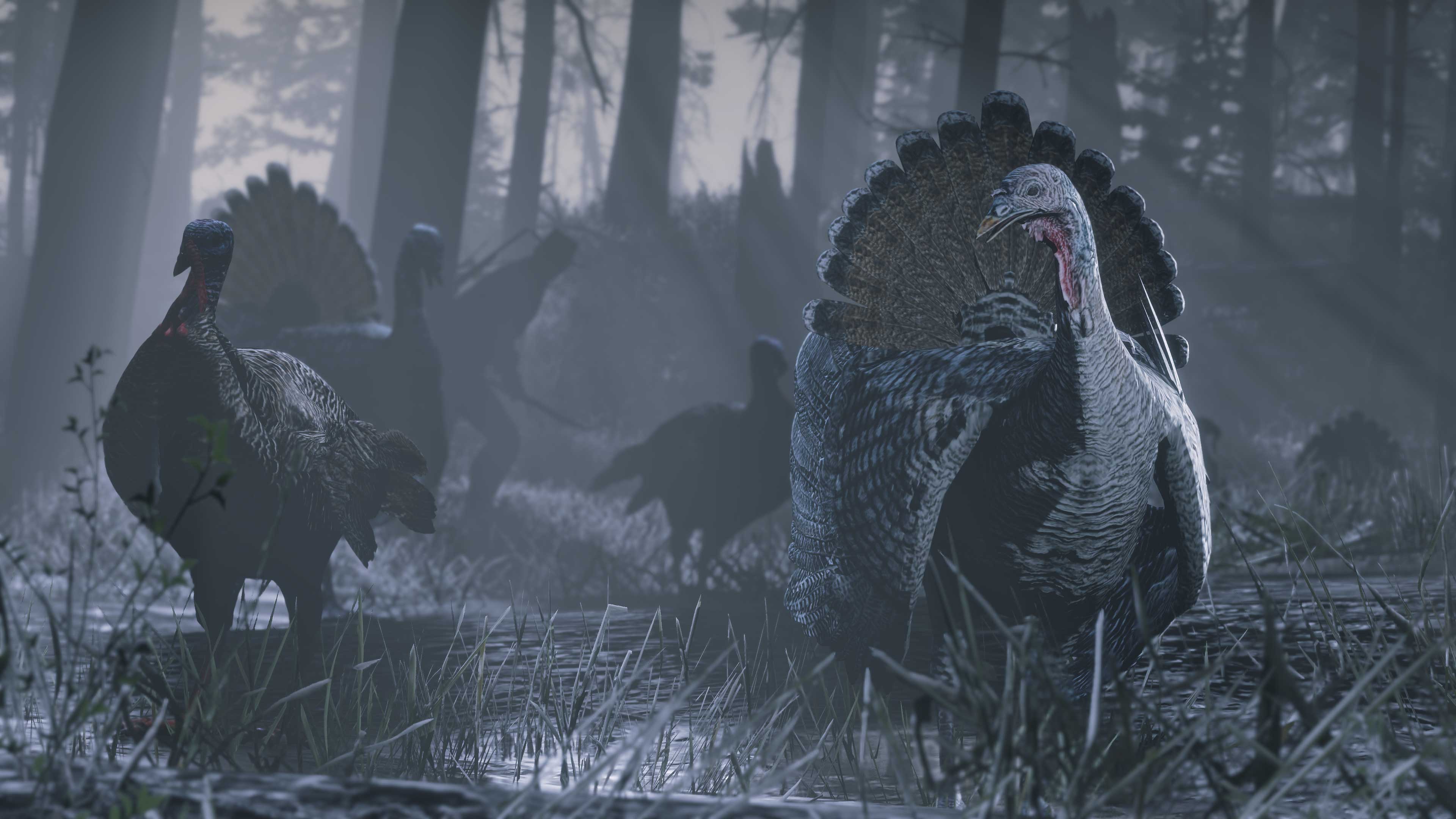 Red Dead Online haber görseli