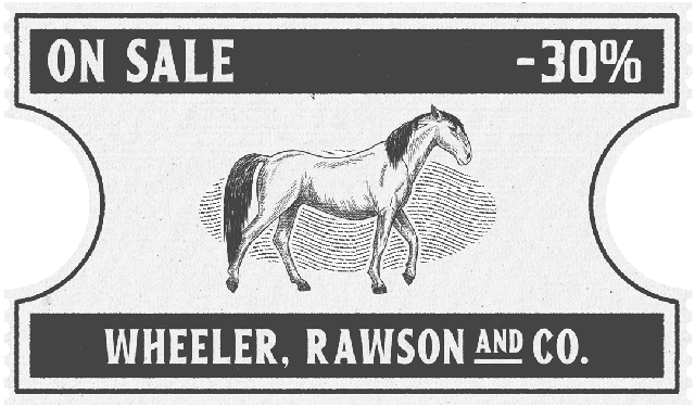 Kladruber Horse'lar. %30 indirim