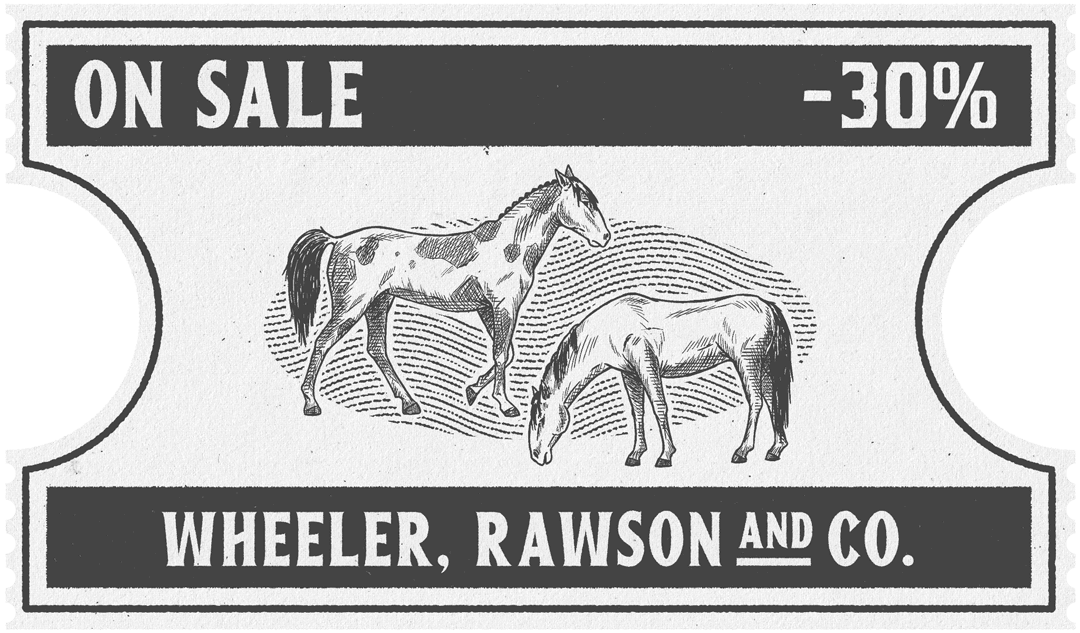 Missouri Fox Trotter Horse'lar. %30 indirim