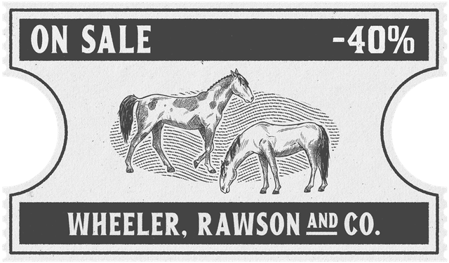 Arabian ve Missouri Fox Trotter Horse'lar. %40 indirim