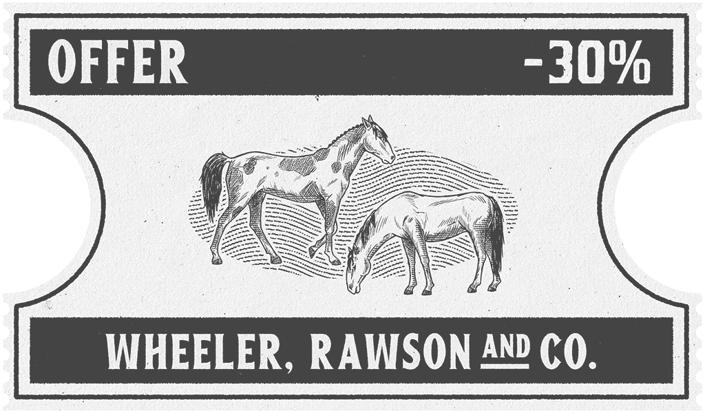 Red Dead Online haber görseli