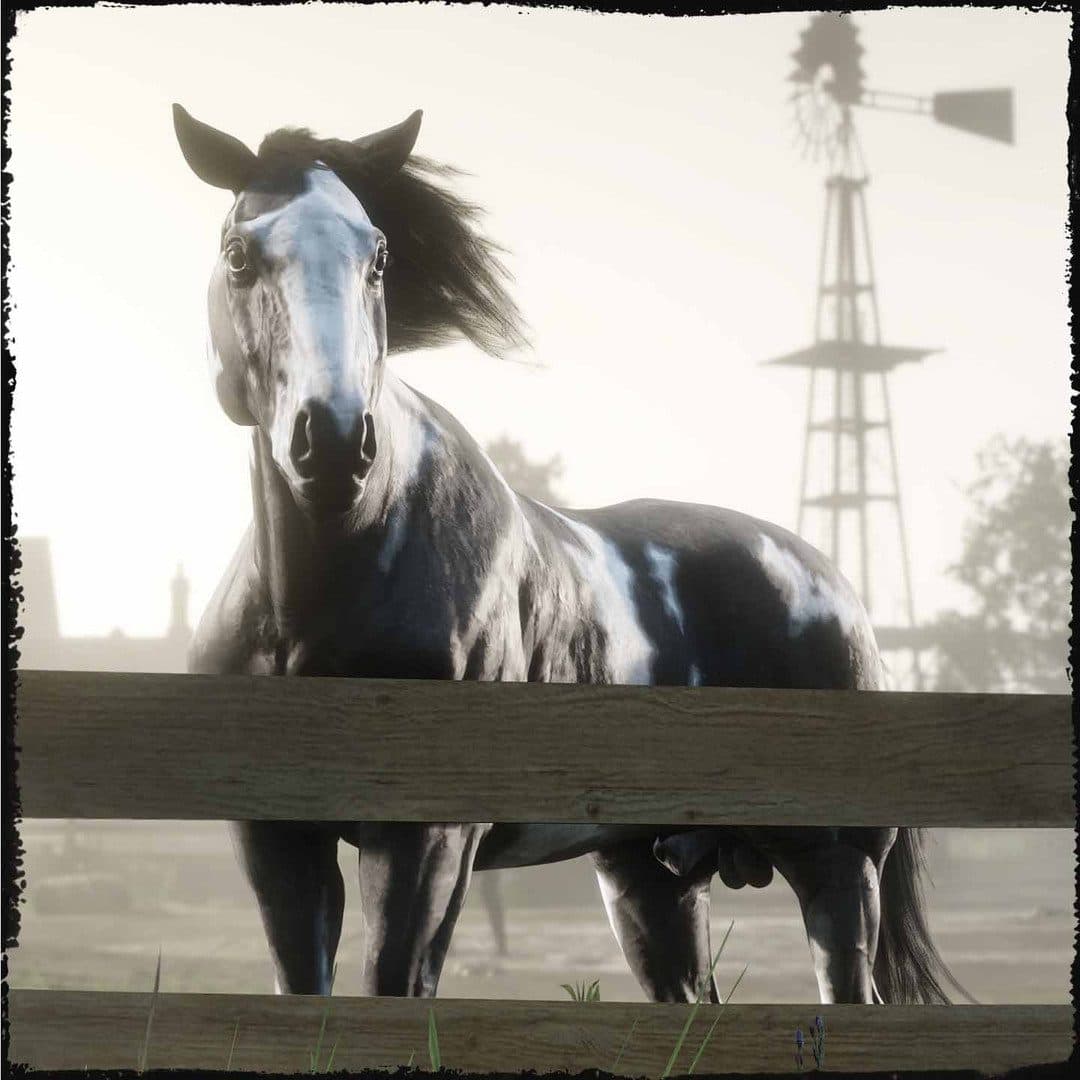 Red Dead Online