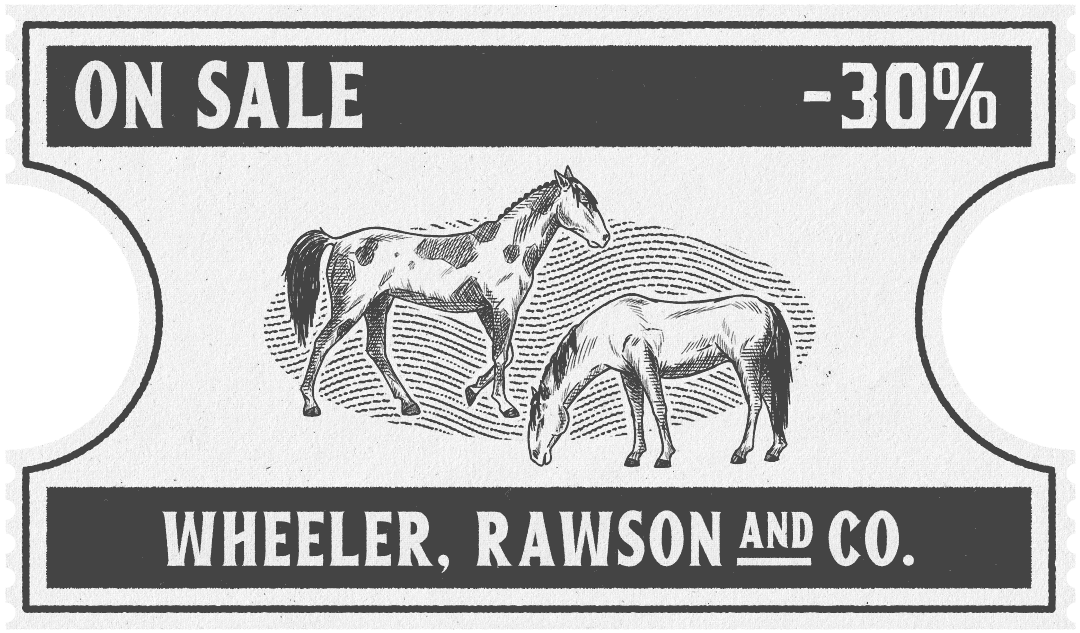 Red Dead Online haber görseli