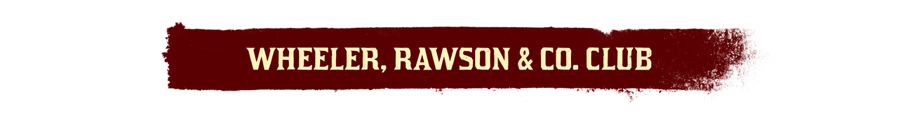Red Dead Online