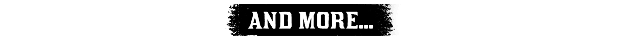 Red Dead Online