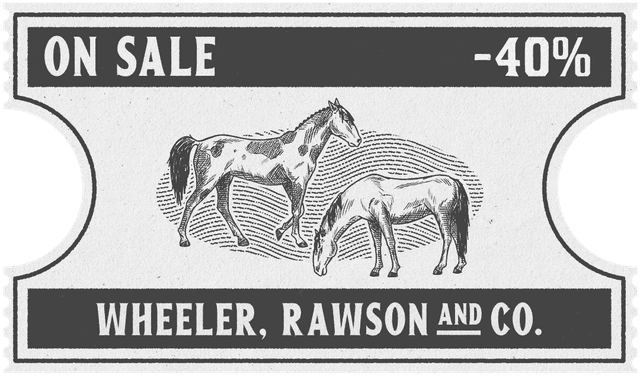American Paint Horse'lar. %40 indirim