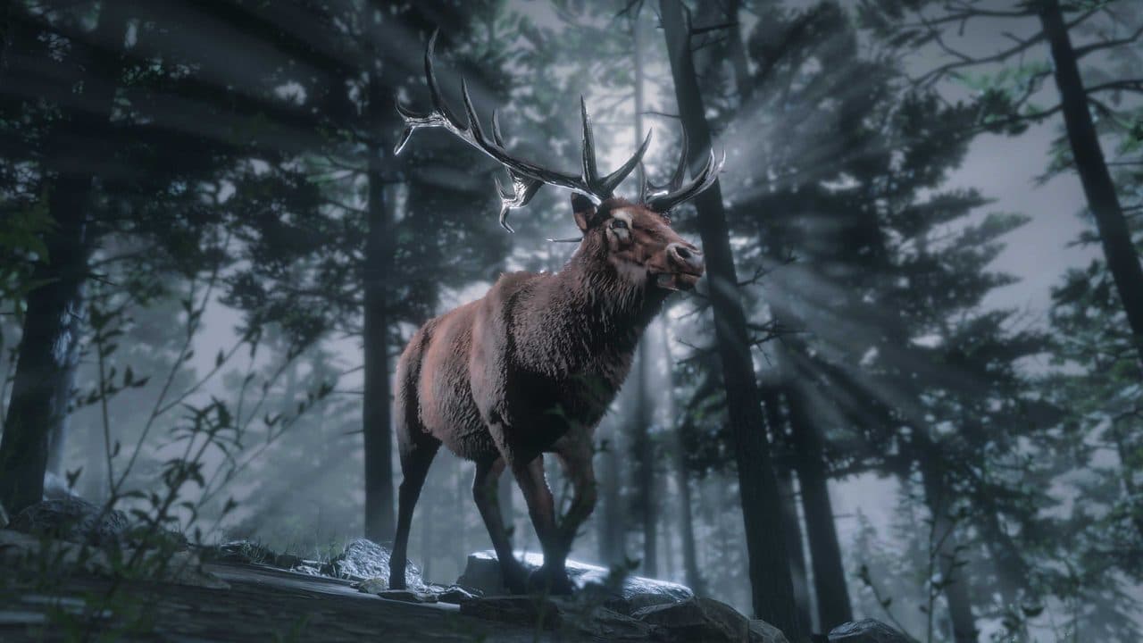 A Legendary Buck walks through a moonlit forest