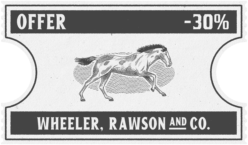 Red Dead Online haber görseli