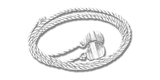 Bolas ikonu