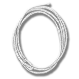 Reinforced Lasso ikonu
